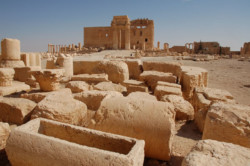 Palmira, la «sposa del deserto» violata