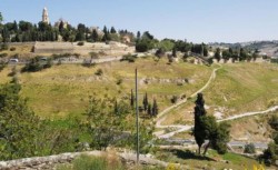 A Gerusalemme visite guidate contro il progetto di cabinovia