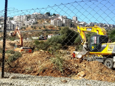 Il muro di separazione israeliano scalza gli ulivi a Cremisan