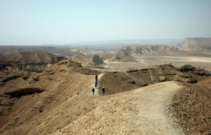Superba panoramica del <i>wadi</i> Paran.