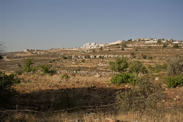 Il panorama collinare caratterizzato dagli antichi terrazzamenti agricoli e dai nuovi quartieri edificati da Israele.