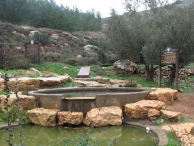 Le fonti d’acqua usurpate in Cisgiordania censite in un rapporto Onu