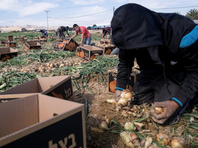 I palestinesi che lavorano negli insediamenti