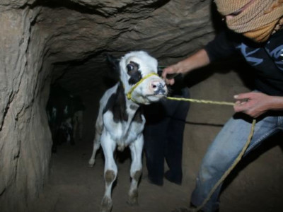 Nuova azione di contrasto dell’Egitto contro i tunnel di Gaza