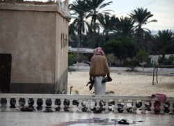 Sinai, strage della moschea: i cristiani si stringono alle vittime