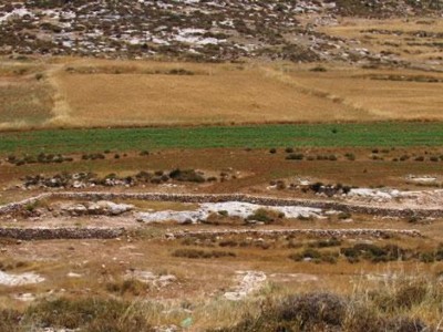 Un progetto agricolo italo-palestinese a sud di Hebron